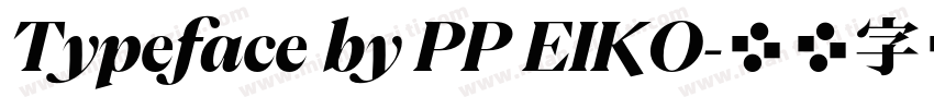 Typeface by PP EIKO字体转换